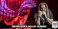 Hollywood Nights - The Bob Seger Experience