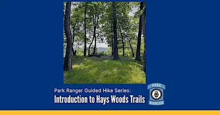 Hays Woods Owl Prowl Hike