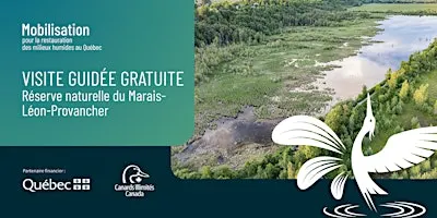 Visite guidée gratuite d’un milieu humide restauré