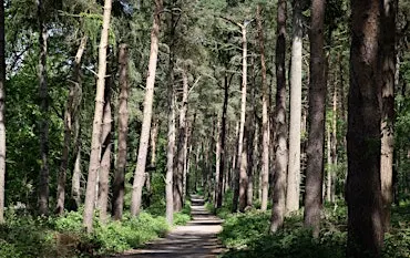 Good company, fresh air - NWT Broadland Country Park
