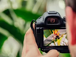 Macro Photography for Beginners