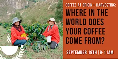 Where in the World Does Your Coffee Come From?