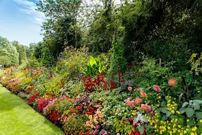 Blooms with a view: Horticulture in St. James's Park