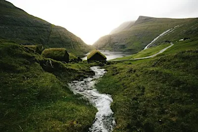 Flowing Together: A Somatic Journey Through Creativity, Movement & Sound