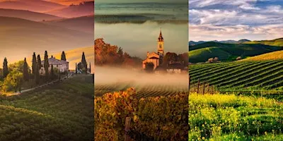 Passport Pour: An Italy vs. France vs. USA Tasting