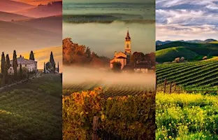Passport Pour: An Italy vs. France vs. USA Tasting