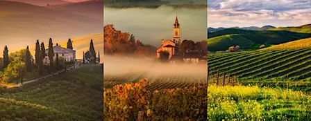 Passport Pour: An Italy vs. France vs. USA Tasting