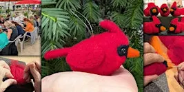Needle Felt a Cardinal Ornament Workshop
