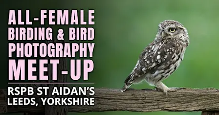 All-Female Birding & Bird Photography Meet-Up