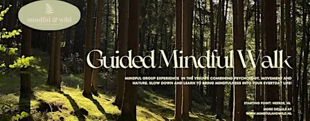 Guided Mindful Walk in the Veluwe