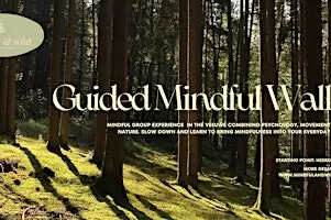 Guided Mindful Walk in the Veluwe