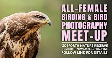 All-Female Birding & Bird Photography Morning
