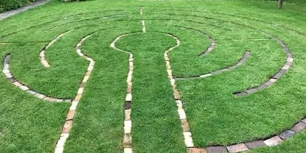 A Winding Journey