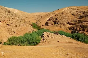 Landscapes of the Bible