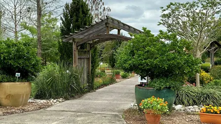 Guided Garden Tour - December 11, 2026