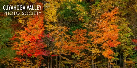 Cuyahoga Valley Photographic Society: Photo Walks and Critique