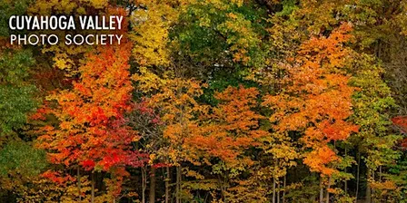 Cuyahoga Valley Photographic Society: Photo Walks and Critique