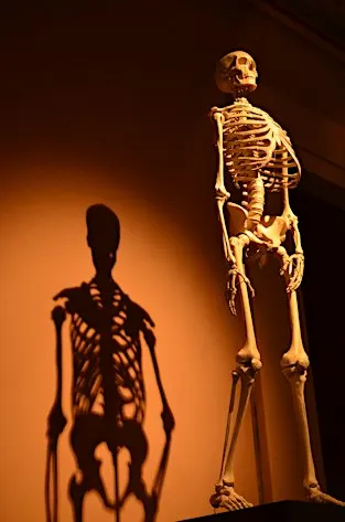 Bone health, calcium & osteoporosis prevention