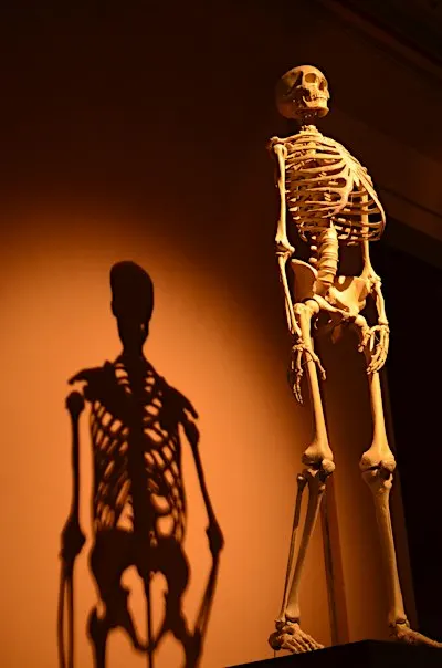Bone health, calcium & osteoporosis prevention