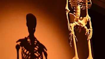 Bone health, calcium & osteoporosis prevention