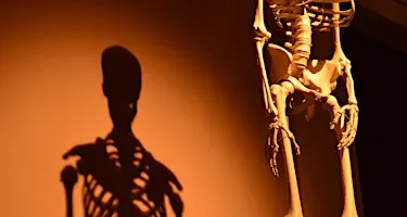 Bone health, calcium & osteoporosis prevention