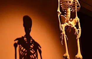 Bone health, calcium & osteoporosis prevention