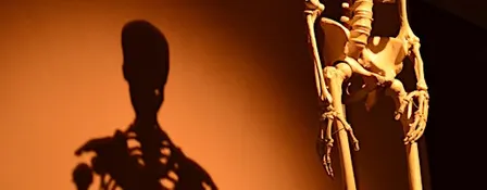 Bone health, calcium & osteoporosis prevention