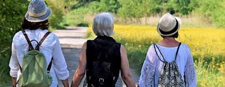 Menopause