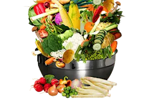 Myth-busting nutrition session