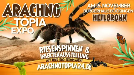 Riesenspinnen & Insektenausstellung - Heilbronn Bürgerhaus Böckingen