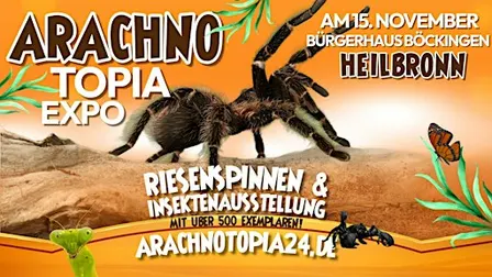 Riesenspinnen & Insektenausstellung - Heilbronn Bürgerhaus Böckingen