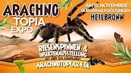 Riesenspinnen & Insektenausstellung - Heilbronn Bürgerhaus Böckingen