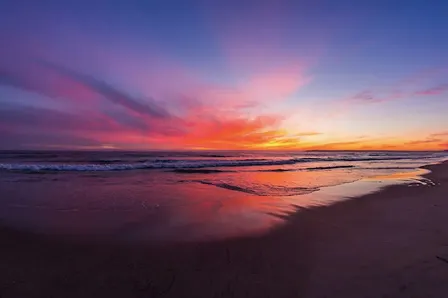 Nourished in Nature:  A Queer Yoga Beach Retreat