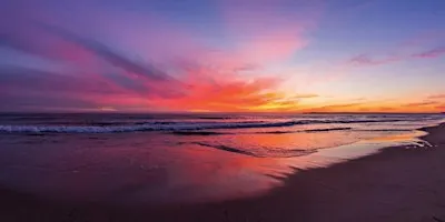 Nourished in Nature:  A Queer Yoga Beach Retreat