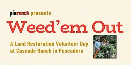Weed’em Out: A Land Restoration Effort with Pie Ranch