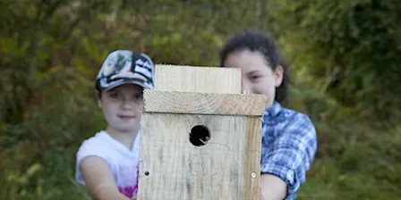 Young volunteers north