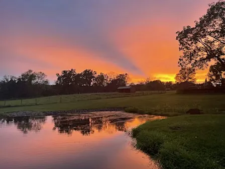 Still Rise Farms Wellness Retreat
