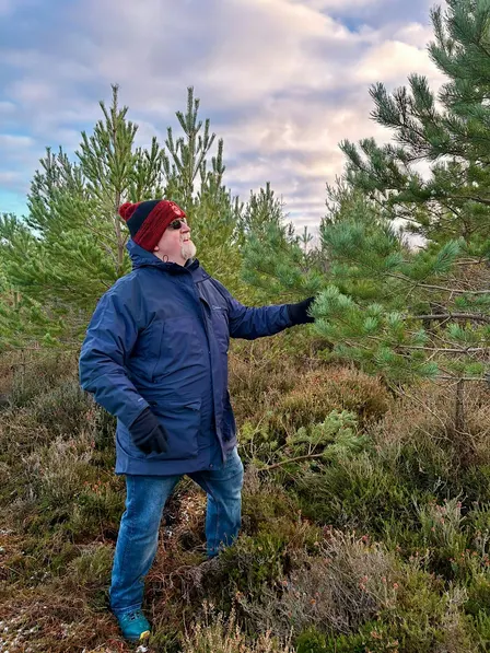 Choose Your Own Culloden Christmas Tree