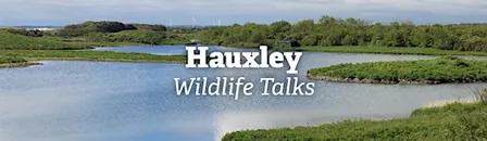 Hauxley Wildlife Talks: Bird ringing for beginners