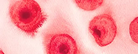 Bloody Brilliant: Art & Science of What Runs Through Us