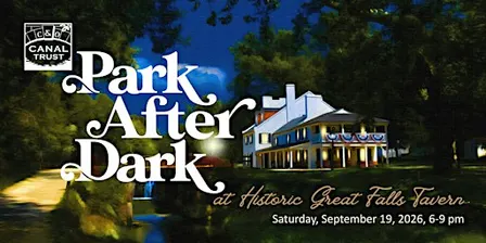 Park After Dark