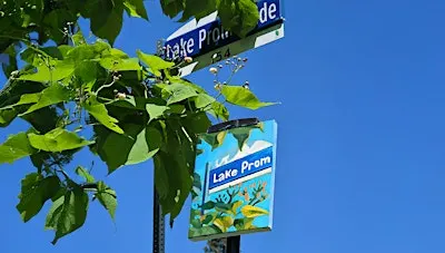 En Plein Air: Painting in Marie Curtis Park