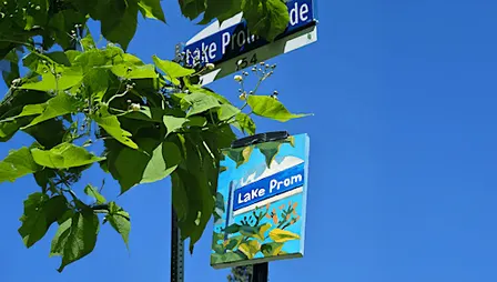 En Plein Air: Painting in Marie Curtis Park