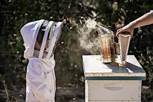 Hive Tour