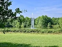 Campane Tibetane al Parco della Trucca - Bergamo | Evento gratuito