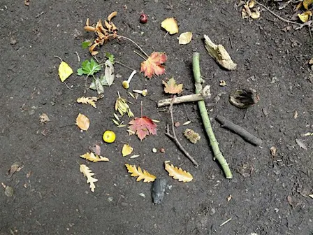 The Creative Woods:  from Summer to Autumn at Chorlton Waterpark / TK
