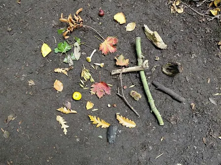The Creative Woods: from Summer to Autumn at Chorlton Waterpark / TK