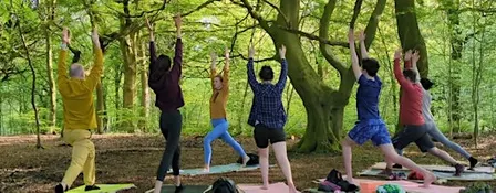 Sunrise Yoga in the Woods