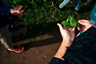 Atelier pratique  plantes pérennes au jardin / Workshop meerjarige planten