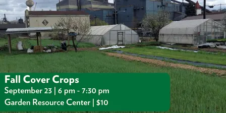 Fall Cover Crops